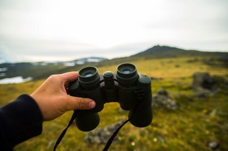 Are Binoculars Illegal? Clearing the Confusion in Outdoor Use - Ammpoure