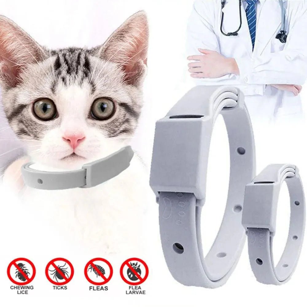 Best 8 Month Flea and Tick Collar for Cats and Small Dogs in the UK: Long-Lasting Protection Explained - Ammpoure