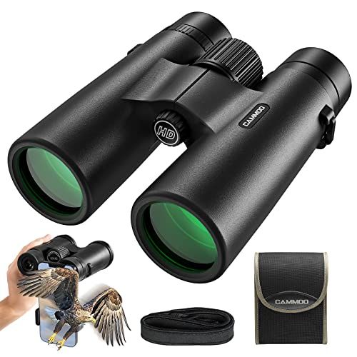 Choosing the Right Binoculars: A Guide for Beginners and Experts Alike. - Ammpoure