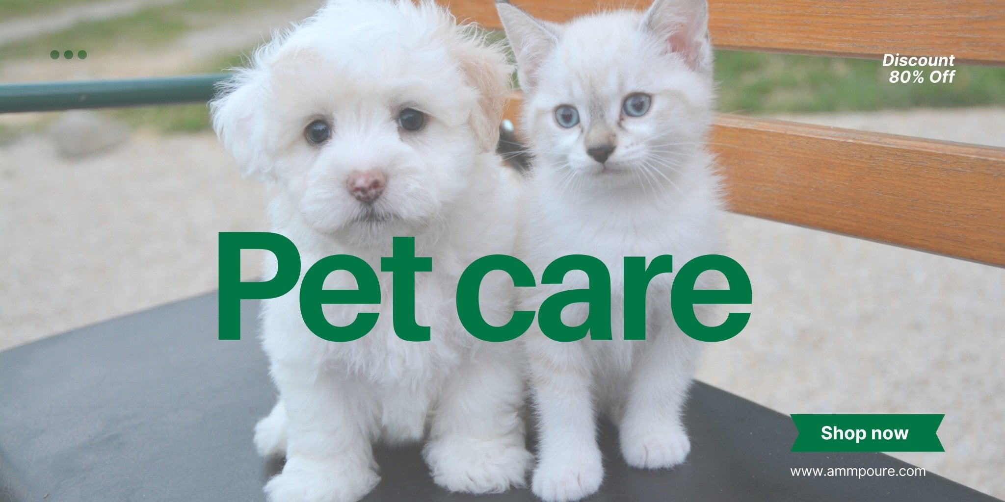 Essential Pet Care Products Every Pet Owner Should Have - Ammpoure