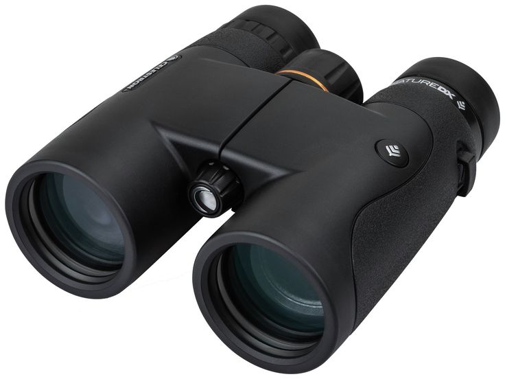 How to Choose the Right Binoculars for Your Next Adventure - Ammpoure