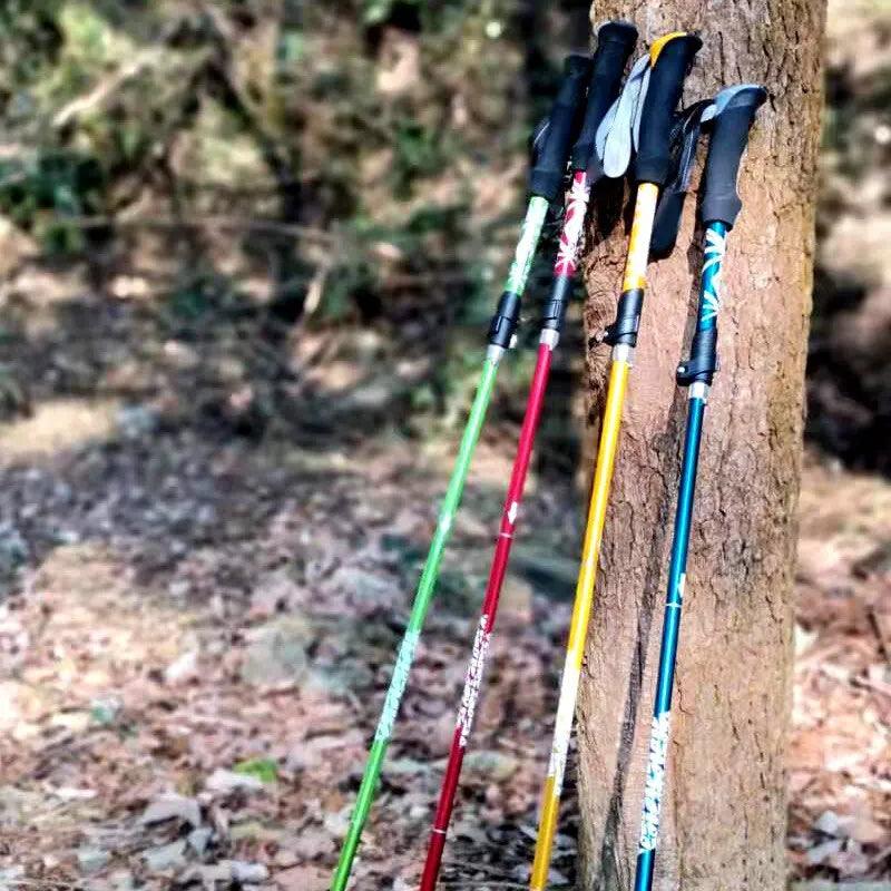 The Ultimate Guide to Choosing and Using Hiking Sticks for Every Trail Adventure - Ammpoure