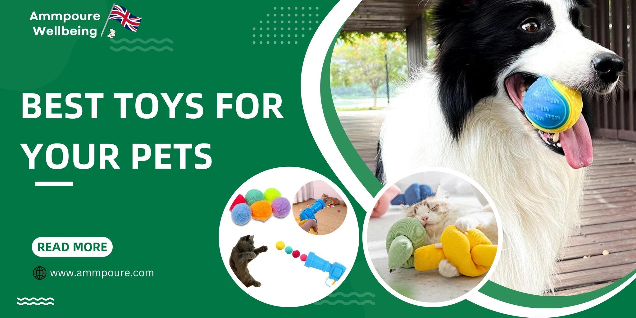 The Ultimate Guide to the Best Toys for Your Cats and Dogs - Ammpoure