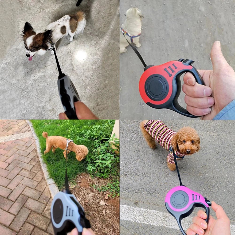 3M & 5M Retractable Pet Dog Leash Canada for Small & Large Dogs Hiking Walking Traction Rope French Bulldog Chihuahua Accessories - Ammpoure