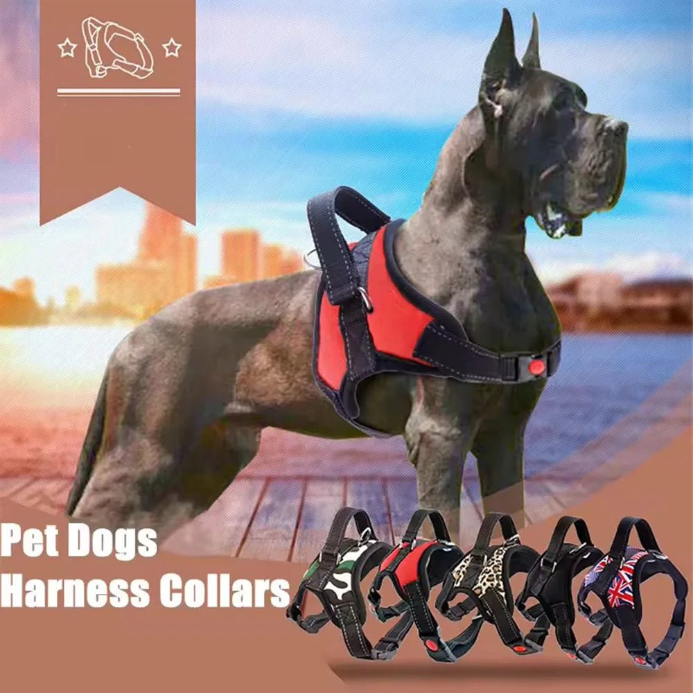 Adjustable Dog Harness USA Pet Walking Vest Collar for Small, Medium & Large Dogs Pet Accessories - Ammpoure