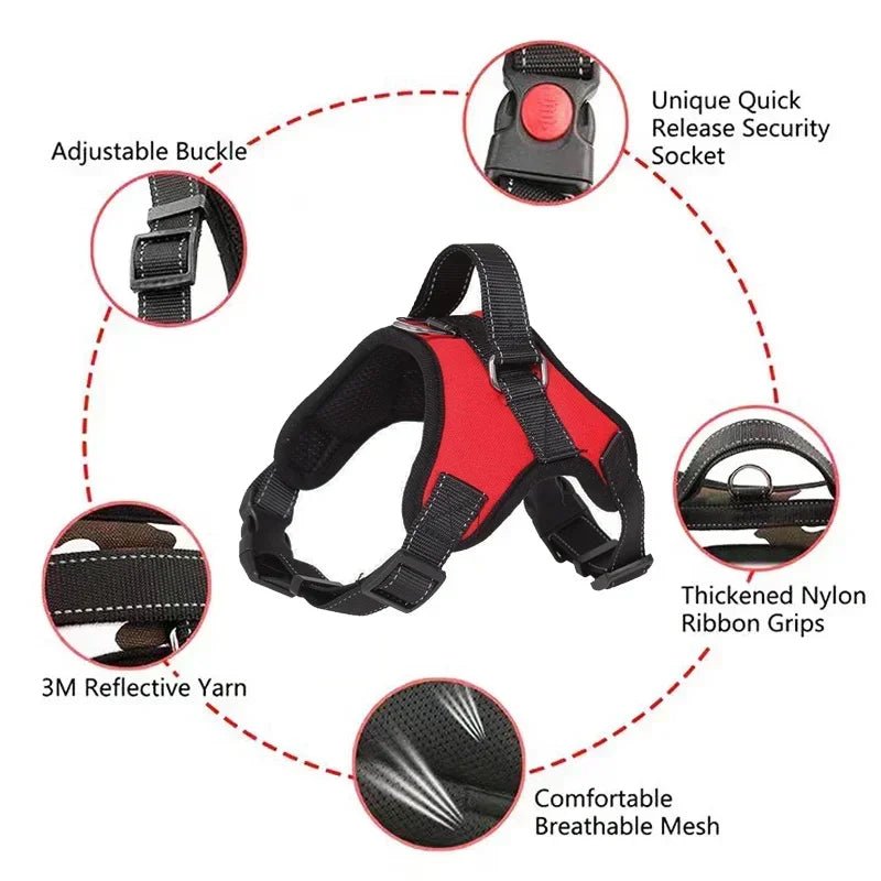 Adjustable Dog Harness USA Pet Walking Vest Collar for Small, Medium & Large Dogs Pet Accessories - Ammpoure