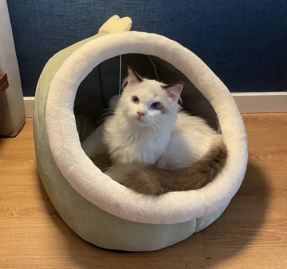 Deep Sleep Cat Bed Cartoon Pet Bed Foldable Removable Washable Pet Sleeping Bed for Small Dog Mat Bag Cave Cats Bed - Ammpoure