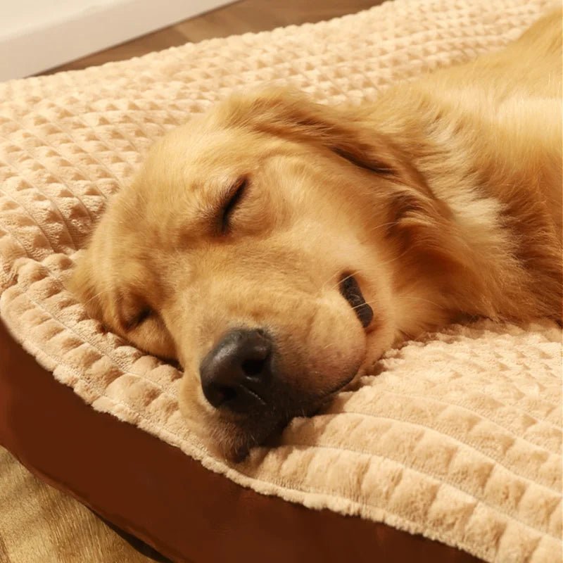 Dog Sleeping Bed USA Warm Soft Fleece Pet Blanket, Detachable Cat & Puppy Mat Cushion for Small, Medium & Large Dogs Pet Supplies - Ammpoure