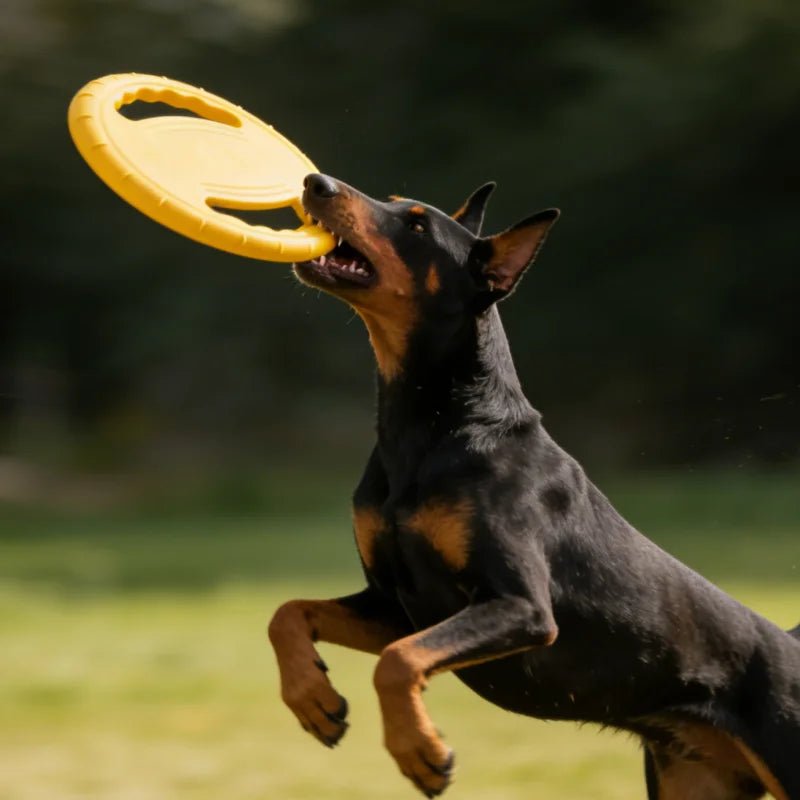 Dogs EVA USA Flying Disc Tooth Chew Play Train Toy Indestructible Pet Supplies Toys Large Safe Small Dog Joint Tough Toys Resistant - Ammpoure