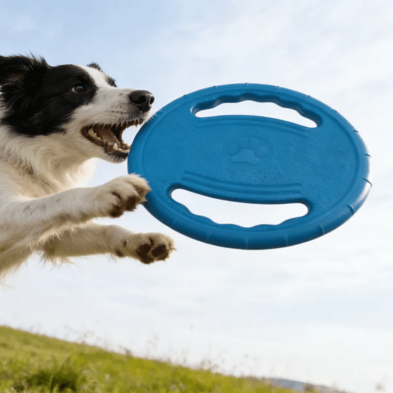 Dogs EVA USA Flying Disc Tooth Chew Play Train Toy Indestructible Pet Supplies Toys Large Safe Small Dog Joint Tough Toys Resistant - Ammpoure