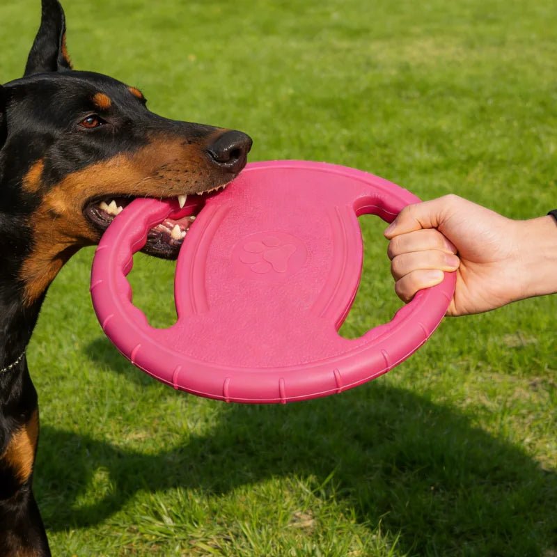 Dogs EVA USA Flying Disc Tooth Chew Play Train Toy Indestructible Pet Supplies Toys Large Safe Small Dog Joint Tough Toys Resistant - Ammpoure