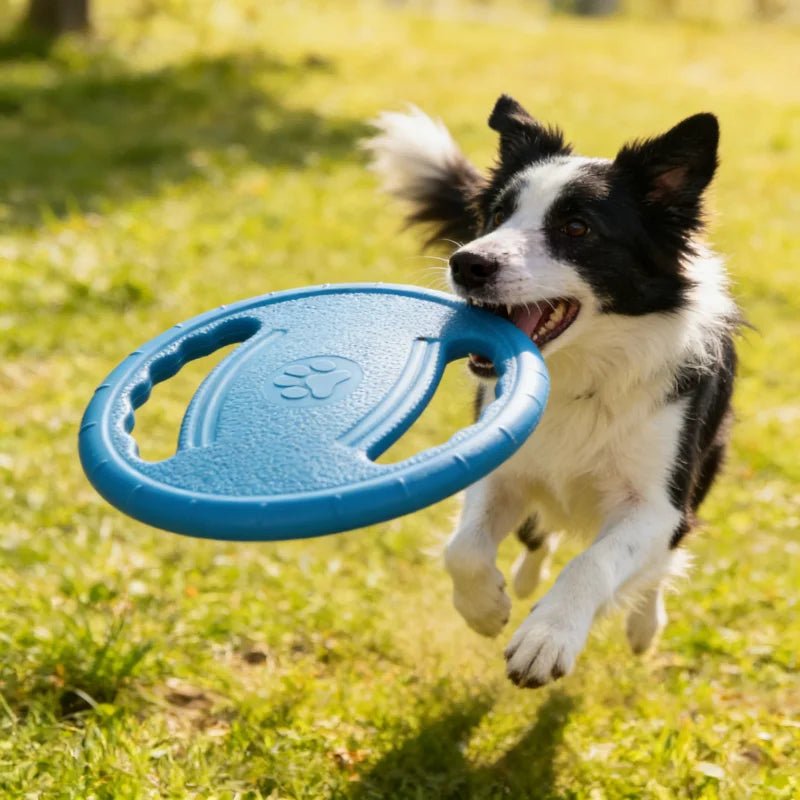 Dogs EVA USA Flying Disc Tooth Chew Play Train Toy Indestructible Pet Supplies Toys Large Safe Small Dog Joint Tough Toys Resistant - Ammpoure