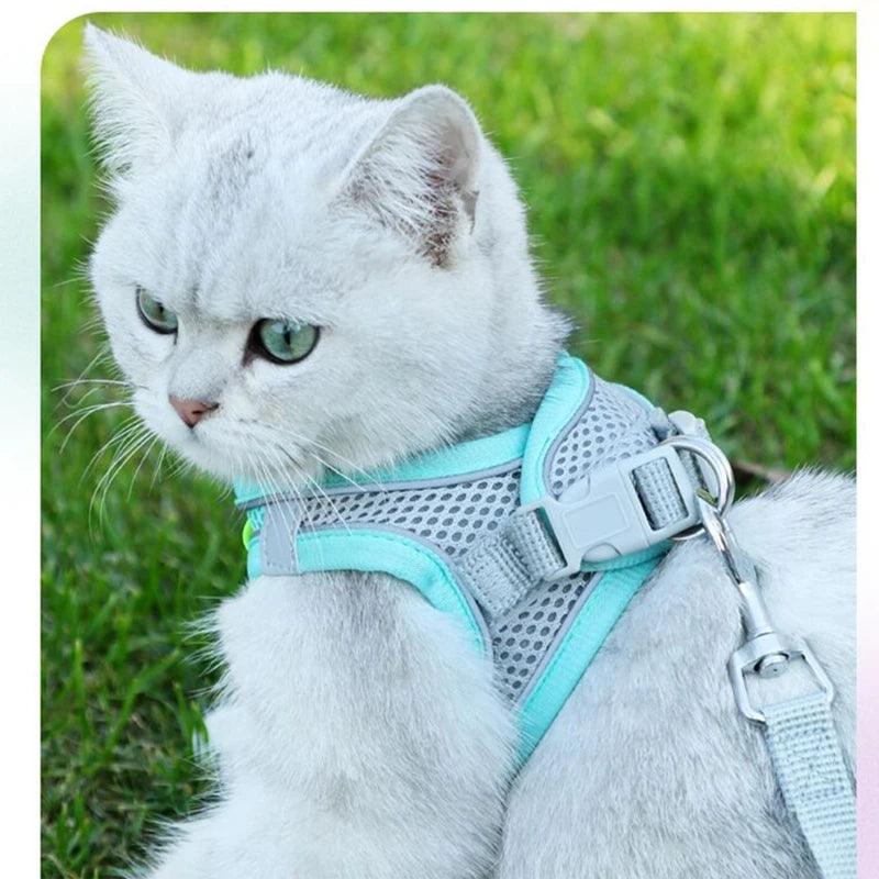 Escape Proof Cat Harness and Leash Set Adjustable Mesh Dog Harness Vest Puppy Pet Walking Lead Leash Small Dogs Cats Kitten XXS - Ammpoure Wellbeing