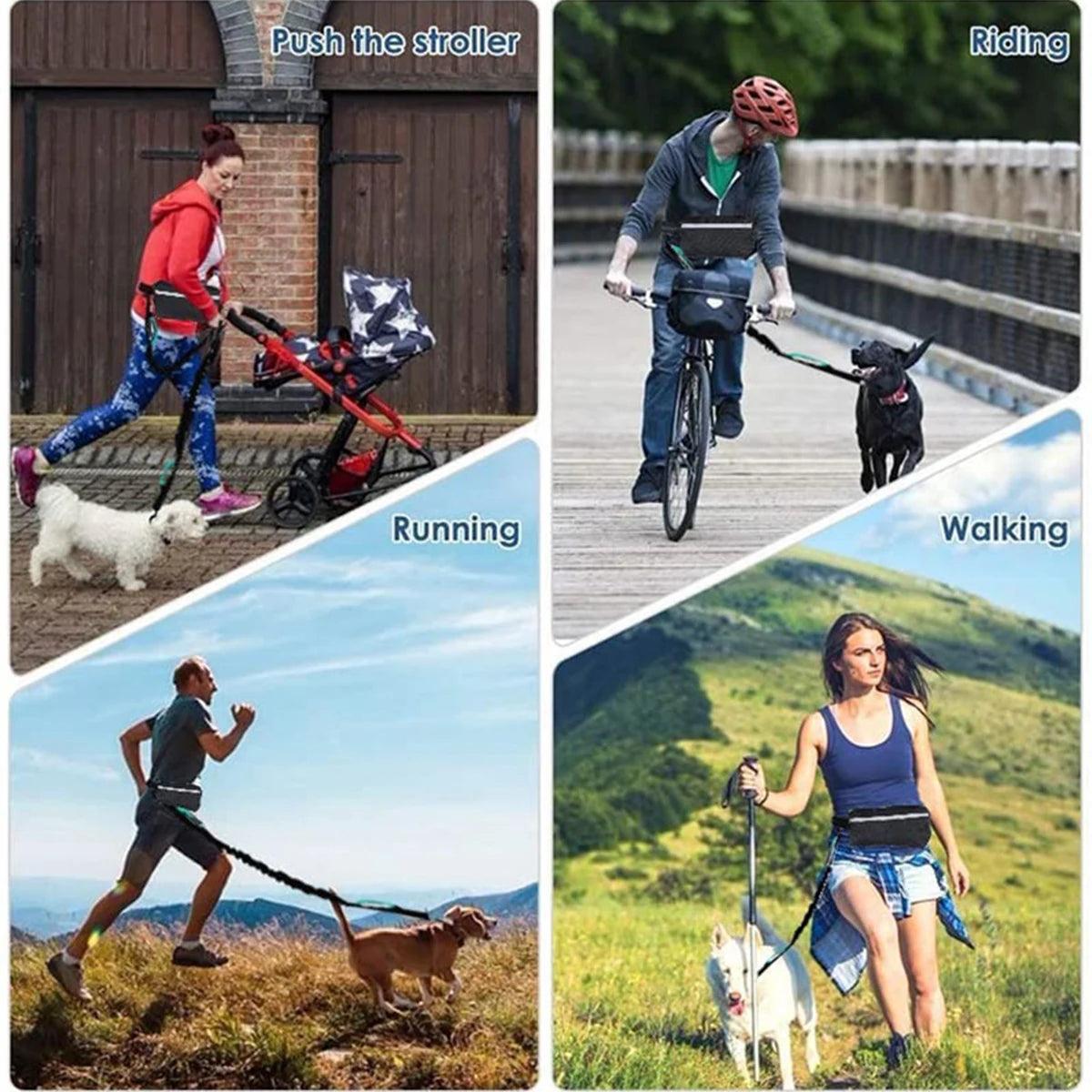 Hands Free Dog Leash for Running Walking Reflective Leash with Waist Bag Retractable Elastic Belt Dog Traction Rope Pet Products - Ammpoure Wellbeing