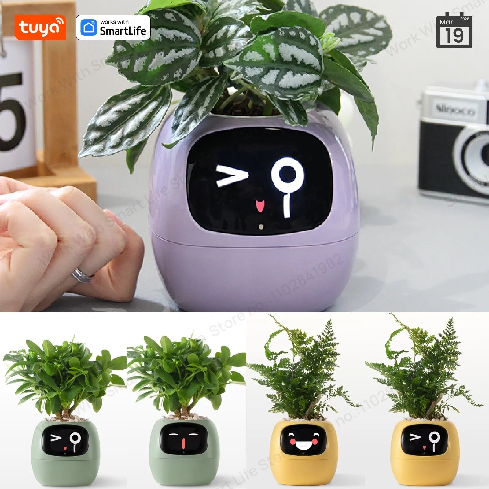 Ivy Smart Planter,Endless Fun Over 49 Rich Expressions,7 smart sensors,AI Chips Make Raising Plants Easy and Fun - Ammpoure
