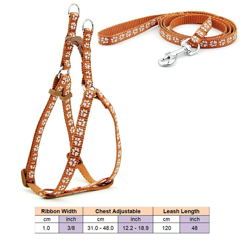 Pet Dog Harness and Leash Adjustable Collar Pet Products for Cat Small Dogs Outdoor Walking Puppy Accessories - Ammpoure Wellbeing