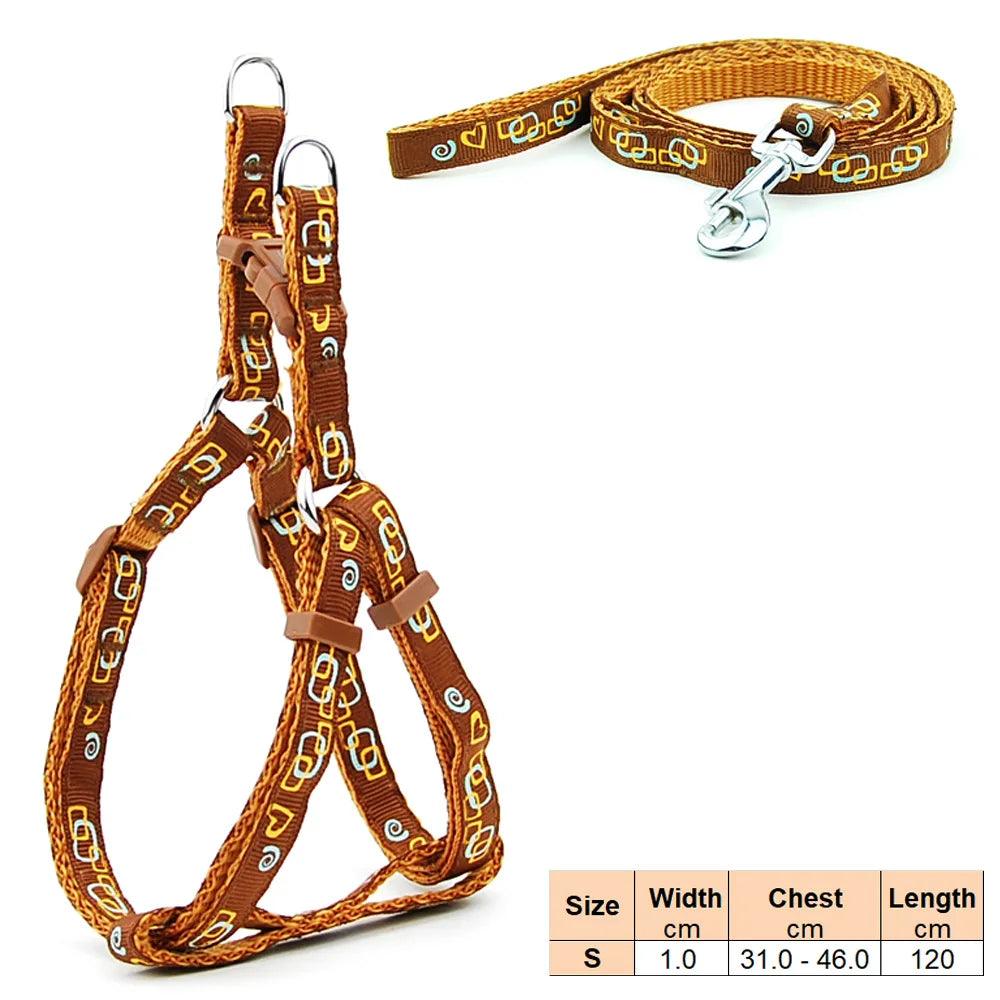 Pet Dog Harness and Leash Adjustable Collar Pet Products for Cat Small Dogs Outdoor Walking Puppy Accessories - Ammpoure Wellbeing