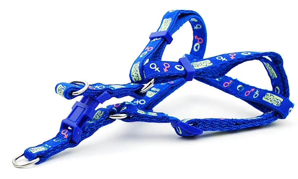 Pet Dog Harness and Leash Adjustable Collar Pet Products for Cat Small Dogs Outdoor Walking Puppy Accessories - Ammpoure Wellbeing