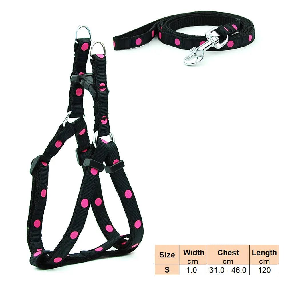Pet Dog Harness and Leash Adjustable Collar Pet Products for Cat Small Dogs Outdoor Walking Puppy Accessories - Ammpoure Wellbeing