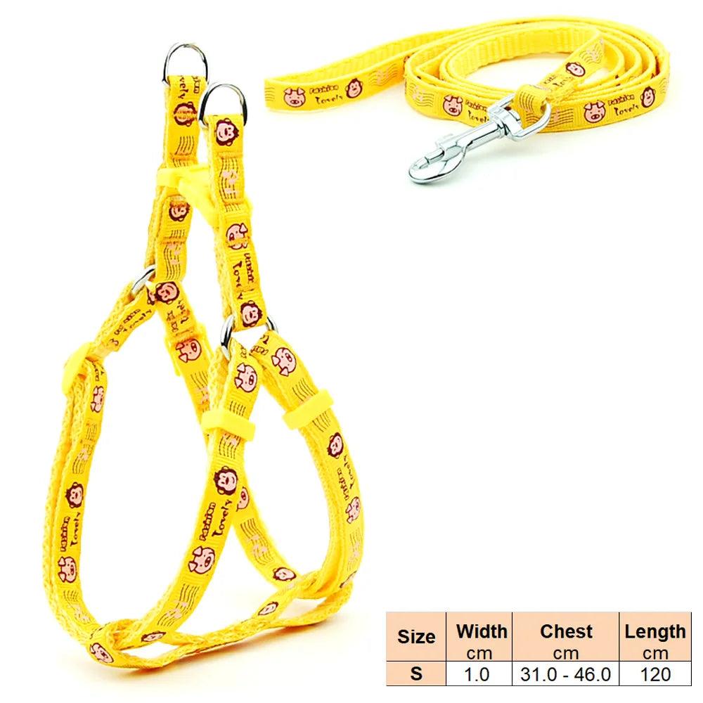 Pet Dog Harness and Leash Adjustable Collar Pet Products for Cat Small Dogs Outdoor Walking Puppy Accessories - Ammpoure Wellbeing