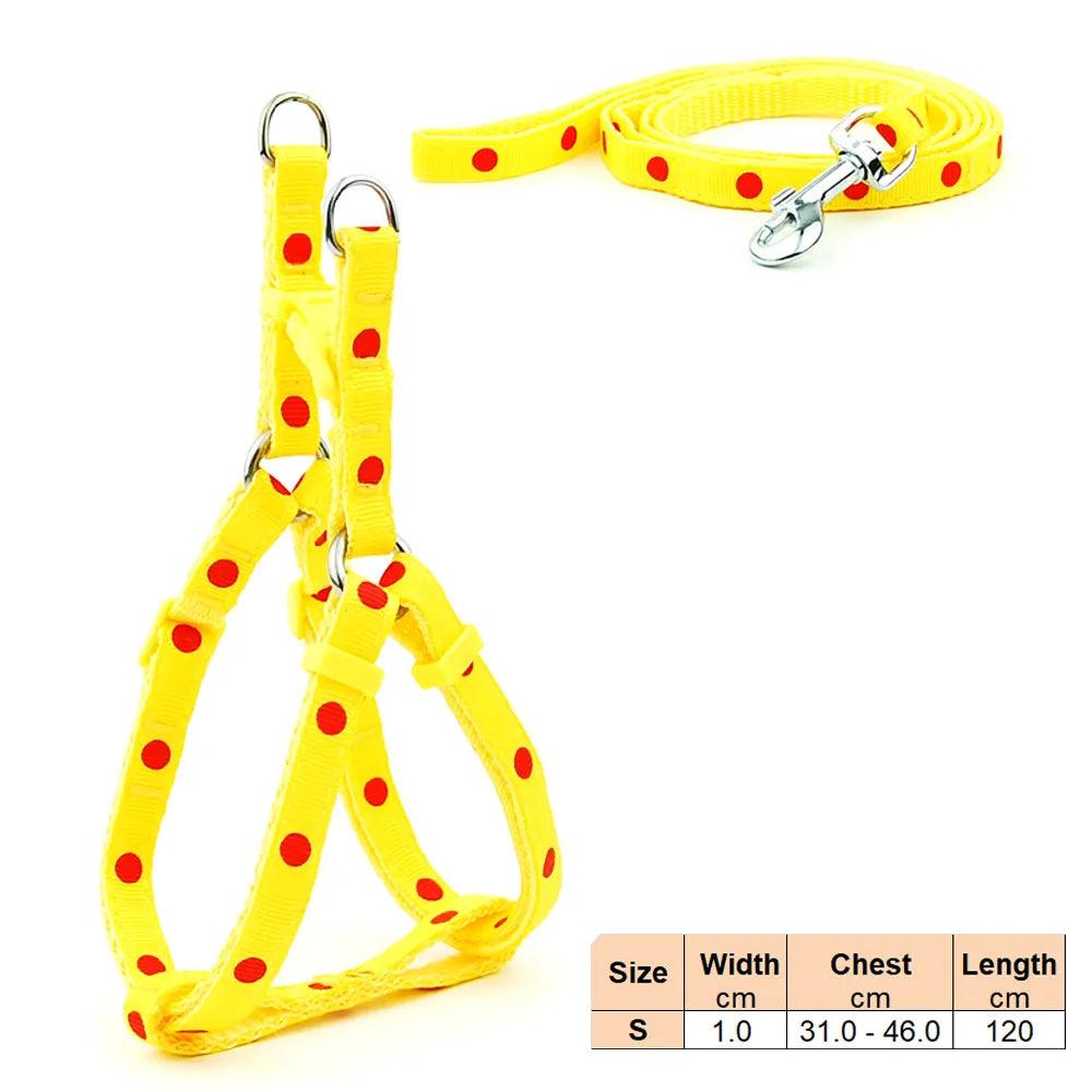 Pet Dog Harness and Leash Adjustable Collar Pet Products for Cat Small Dogs Outdoor Walking Puppy Accessories - Ammpoure Wellbeing