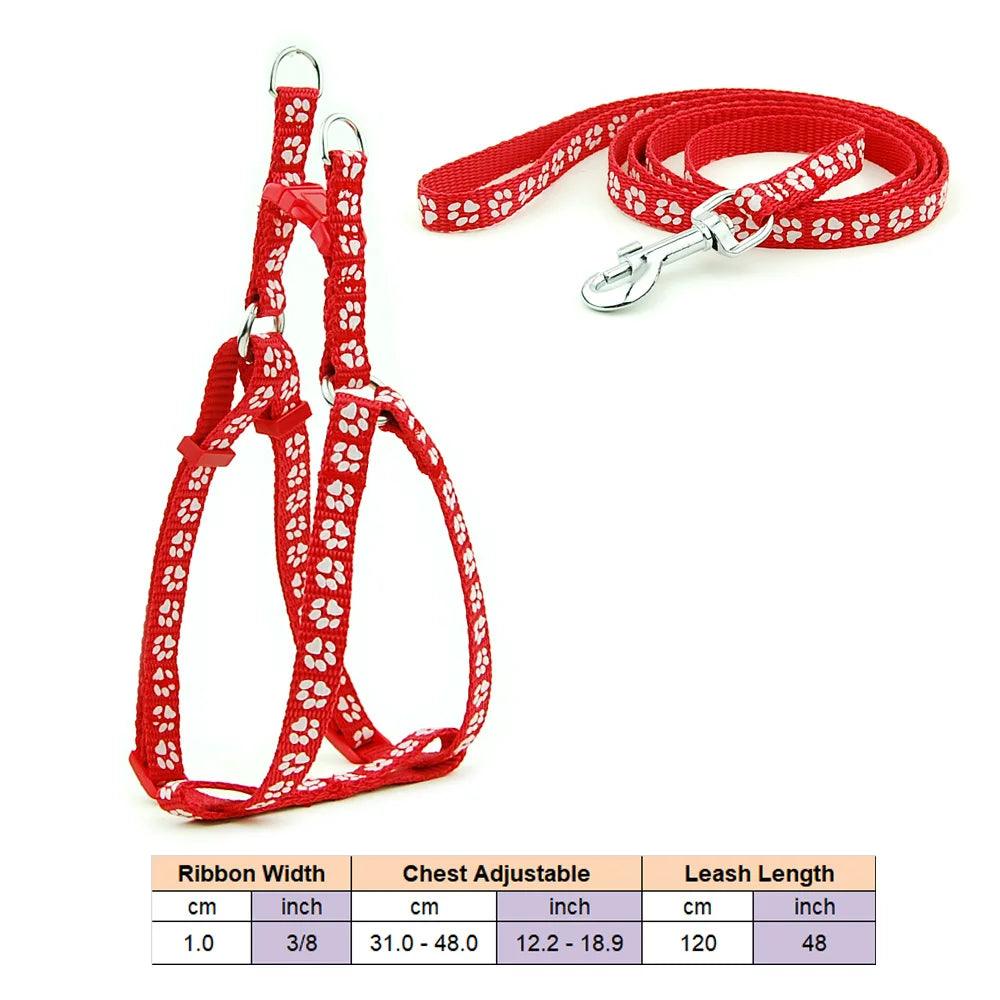 Pet Dog Harness and Leash Adjustable Collar Pet Products for Cat Small Dogs Outdoor Walking Puppy Accessories - Ammpoure Wellbeing