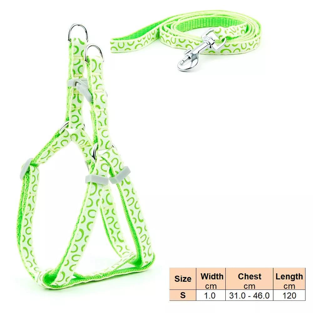 Pet Dog Harness and Leash Adjustable Collar Pet Products for Cat Small Dogs Outdoor Walking Puppy Accessories - Ammpoure Wellbeing