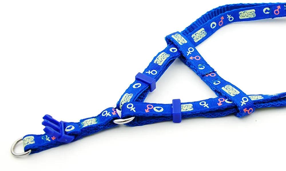 Pet Dog Harness and Leash Adjustable Collar Pet Products for Cat Small Dogs Outdoor Walking Puppy Accessories - Ammpoure Wellbeing