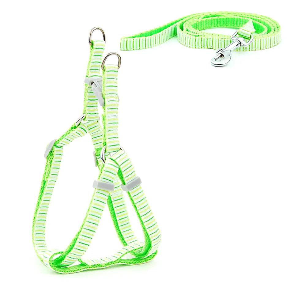 Pet Dog Harness and Leash Adjustable Collar Pet Products for Cat Small Dogs Outdoor Walking Puppy Accessories - Ammpoure Wellbeing