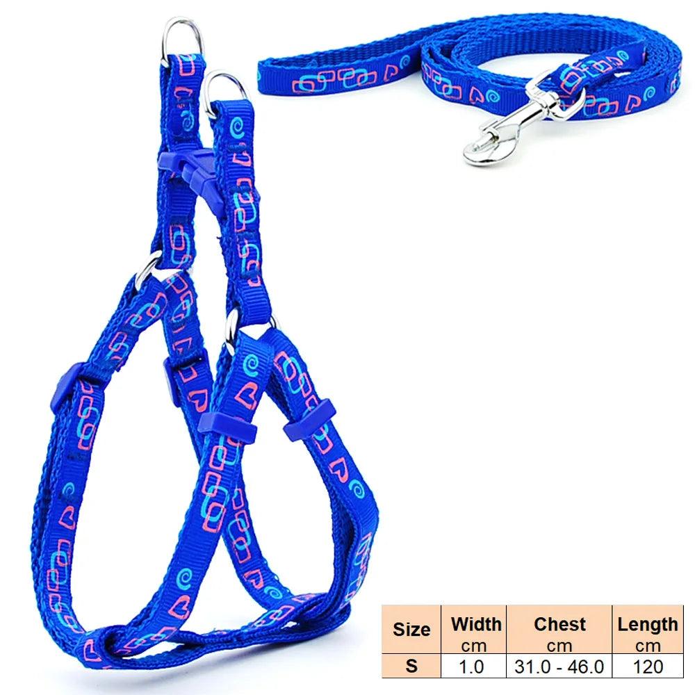 Pet Dog Harness and Leash Adjustable Collar Pet Products for Cat Small Dogs Outdoor Walking Puppy Accessories - Ammpoure Wellbeing
