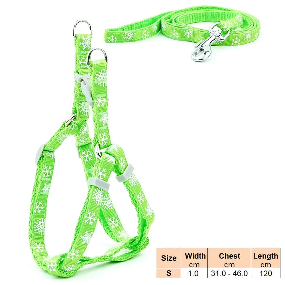 Pet Dog Harness and Leash Adjustable Collar Pet Products for Cat Small Dogs Outdoor Walking Puppy Accessories - Ammpoure Wellbeing