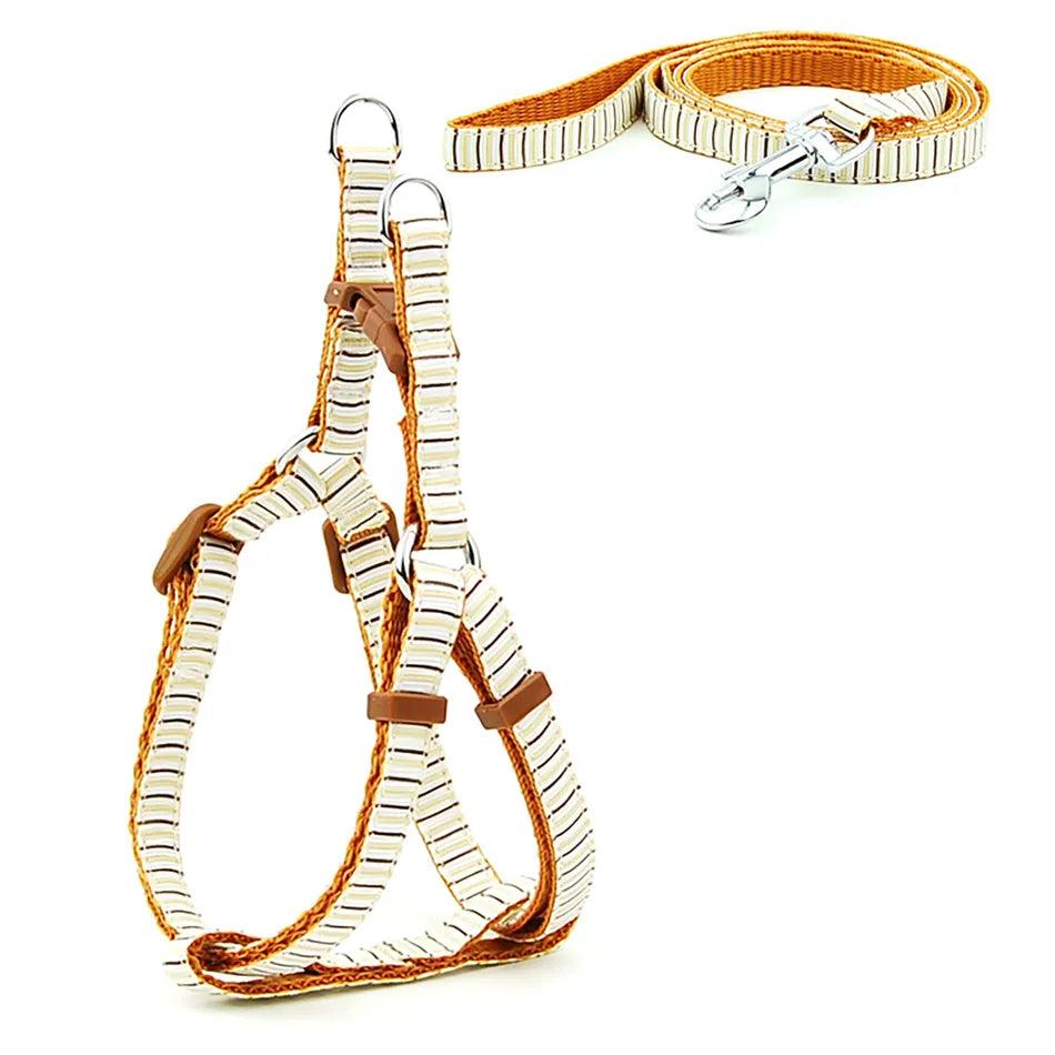 Pet Dog Harness and Leash Adjustable Collar Pet Products for Cat Small Dogs Outdoor Walking Puppy Accessories - Ammpoure Wellbeing