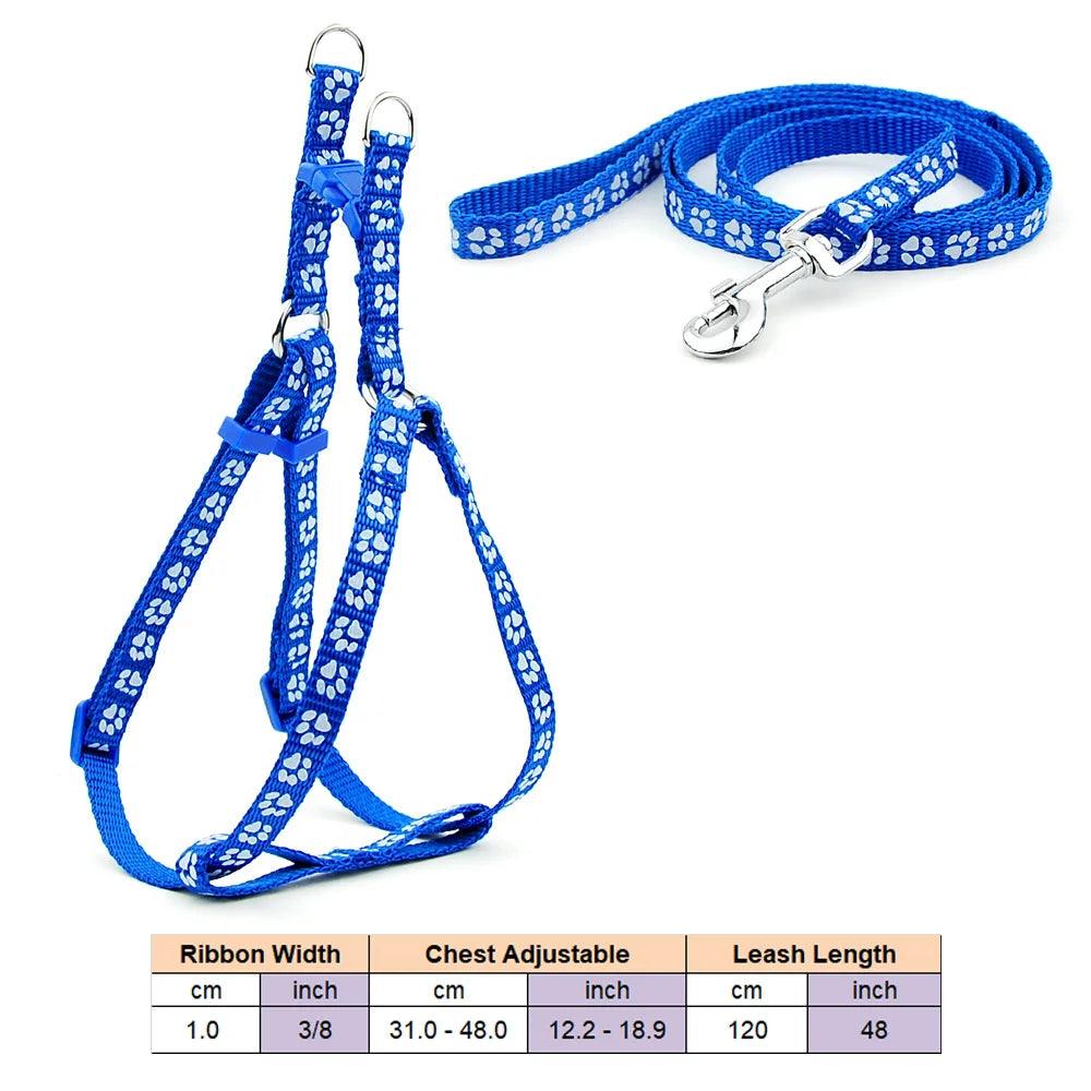 Pet Dog Harness and Leash Adjustable Collar Pet Products for Cat Small Dogs Outdoor Walking Puppy Accessories - Ammpoure Wellbeing