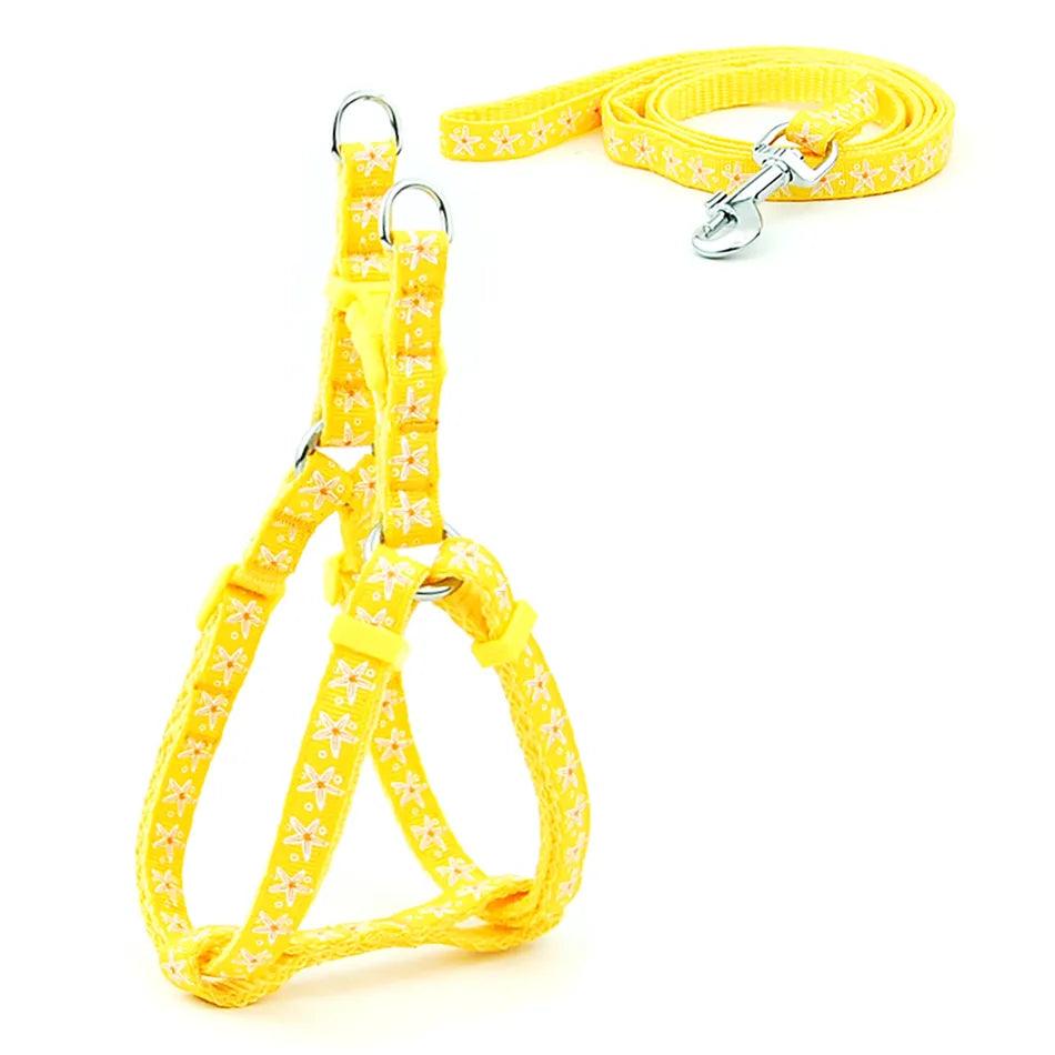 Pet Dog Harness and Leash Adjustable Collar Pet Products for Cat Small Dogs Outdoor Walking Puppy Accessories - Ammpoure Wellbeing