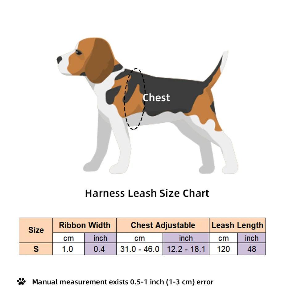 Pet Dog Harness and Leash Adjustable Collar Pet Products for Cat Small Dogs Outdoor Walking Puppy Accessories - Ammpoure Wellbeing