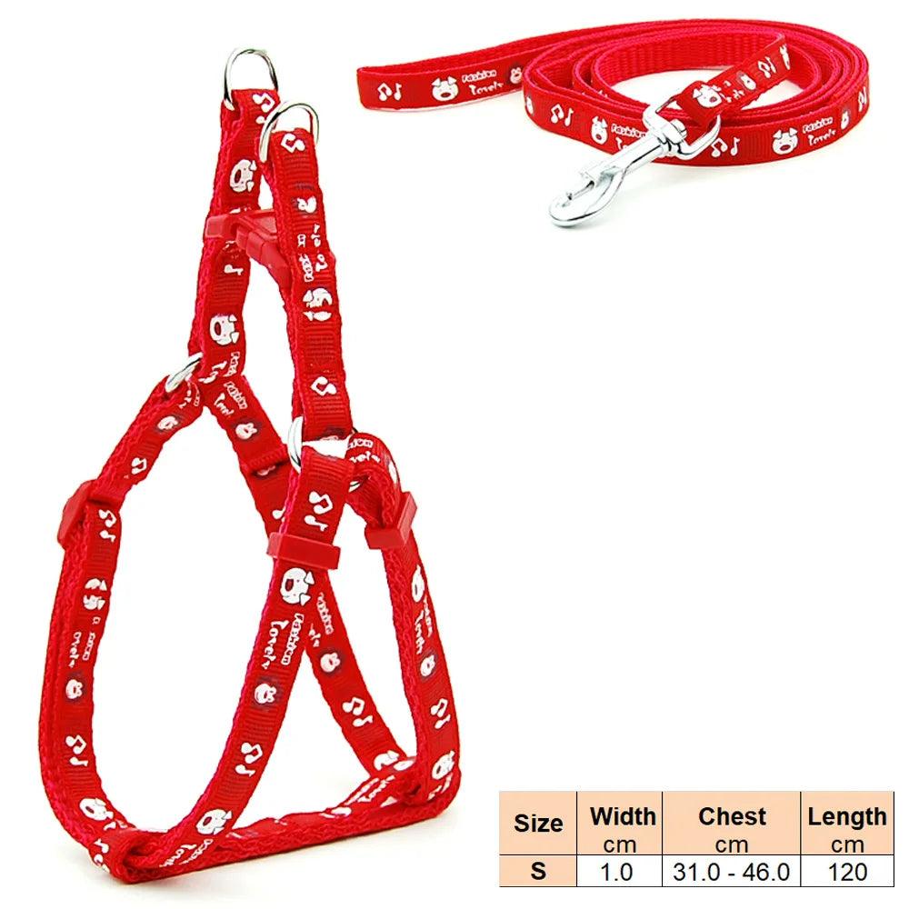 Pet Dog Harness and Leash Adjustable Collar Pet Products for Cat Small Dogs Outdoor Walking Puppy Accessories - Ammpoure Wellbeing