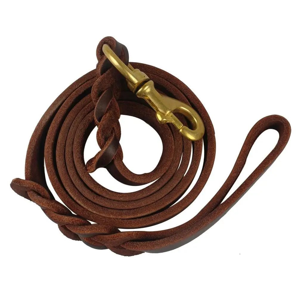 Training Walking Dog Leash Canada Copper Hook Leather Braided Brown Soft Durable Traction Rope for German Shepherds - Ammpoure