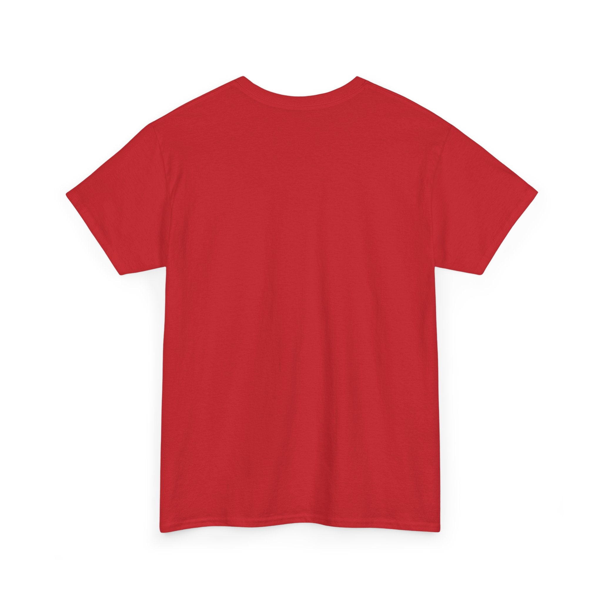 Unisex Heavy Cotton Tee - Ammpoure Wellbeing