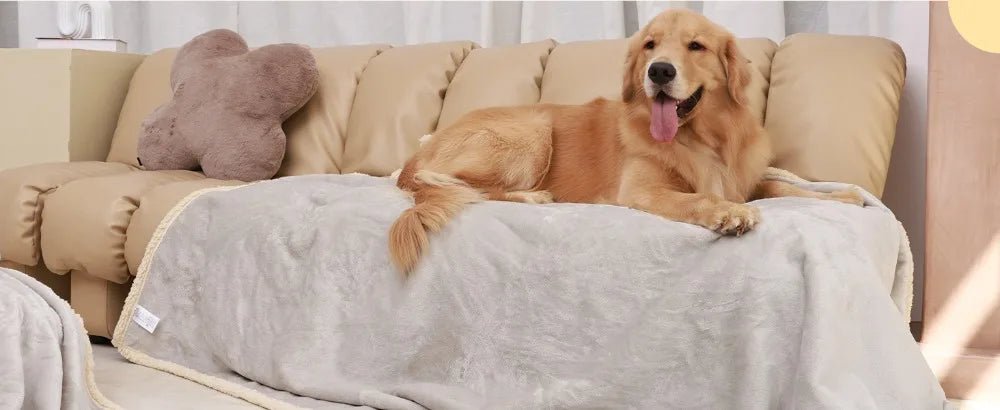 Waterproof Pet Blanket USA Urine-Proof Flannel Sherpa Reversible Dog & Cat Throw Mat, Thick Soft Warm Washable Sofa & Couch Protector - Ammpoure