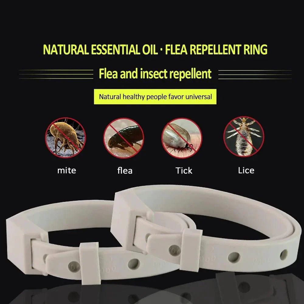 The Pet Parent’s Ultimate Solution – Why Anti Flea Tick Collars Are the Best Investment in 2025 - Ammpoure Wellbeing