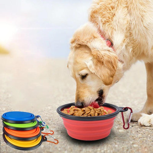 350ml Collapsible Dog Pet Folding Silicone Bowl Outdoor Travel Portable Puppy Food Container Feeder Dish Bowl Pet supplies - Ammpoure Wellbeing 🇬🇧