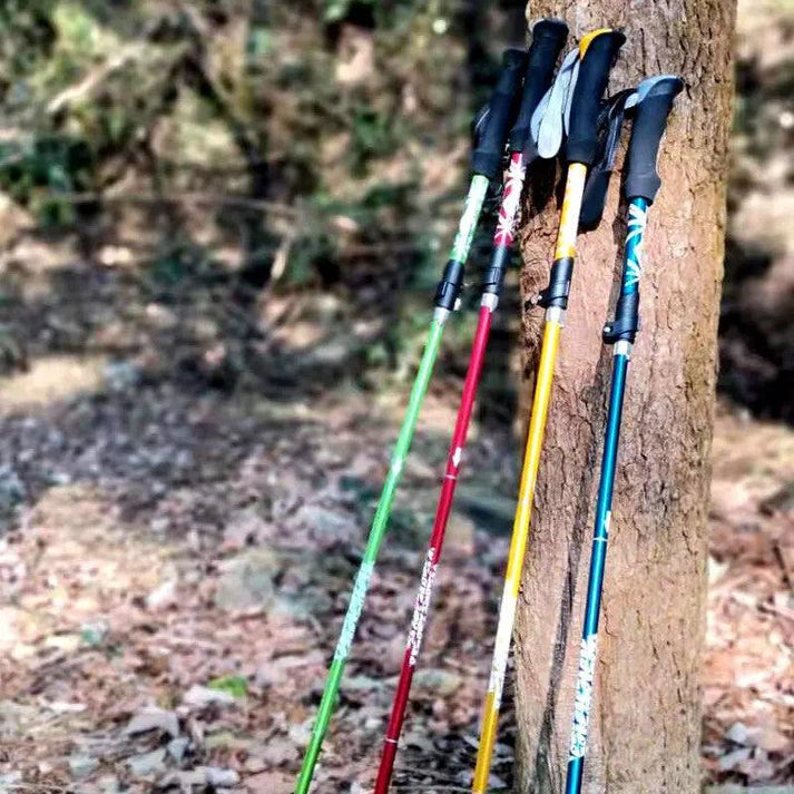 Ammpoure 5-section foldable trekking pole