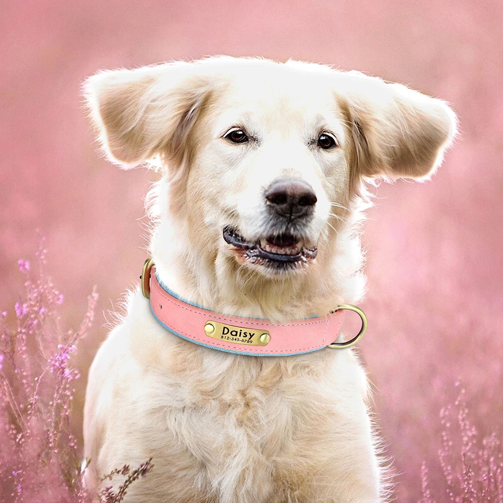 Customized PU Leather Nameplate Dog Collar Soft Padded Dogs Collars Free Engraving Name for Small Medium Large Dogs Adjustable