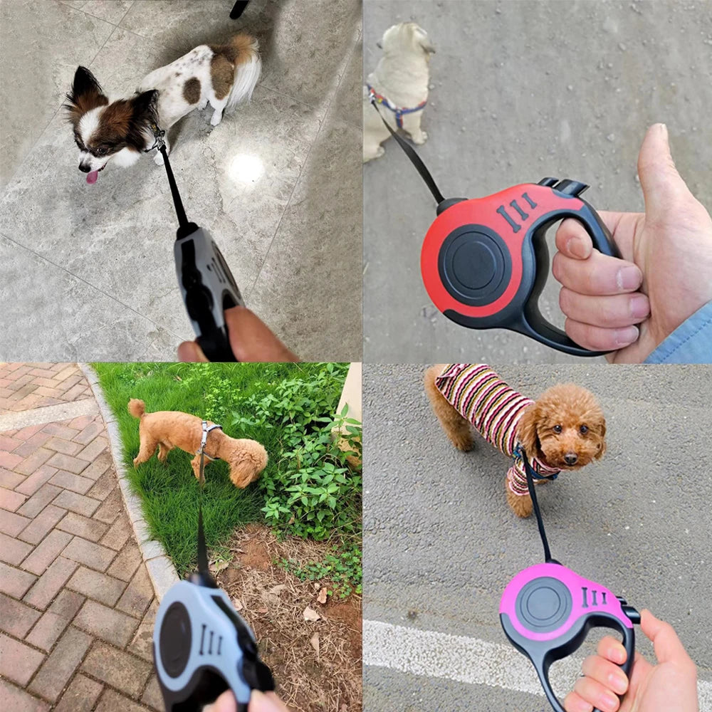 3M & 5M Retractable Pet Dog Leash Canada for Small & Large Dogs Hiking Walking Traction Rope French Bulldog Chihuahua Accessories