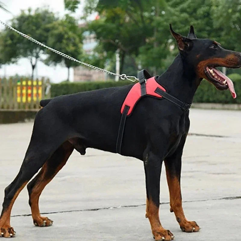 Adjustable Dog Harness USA Pet Walking Vest Collar for Small, Medium & Large Dogs Pet Accessories