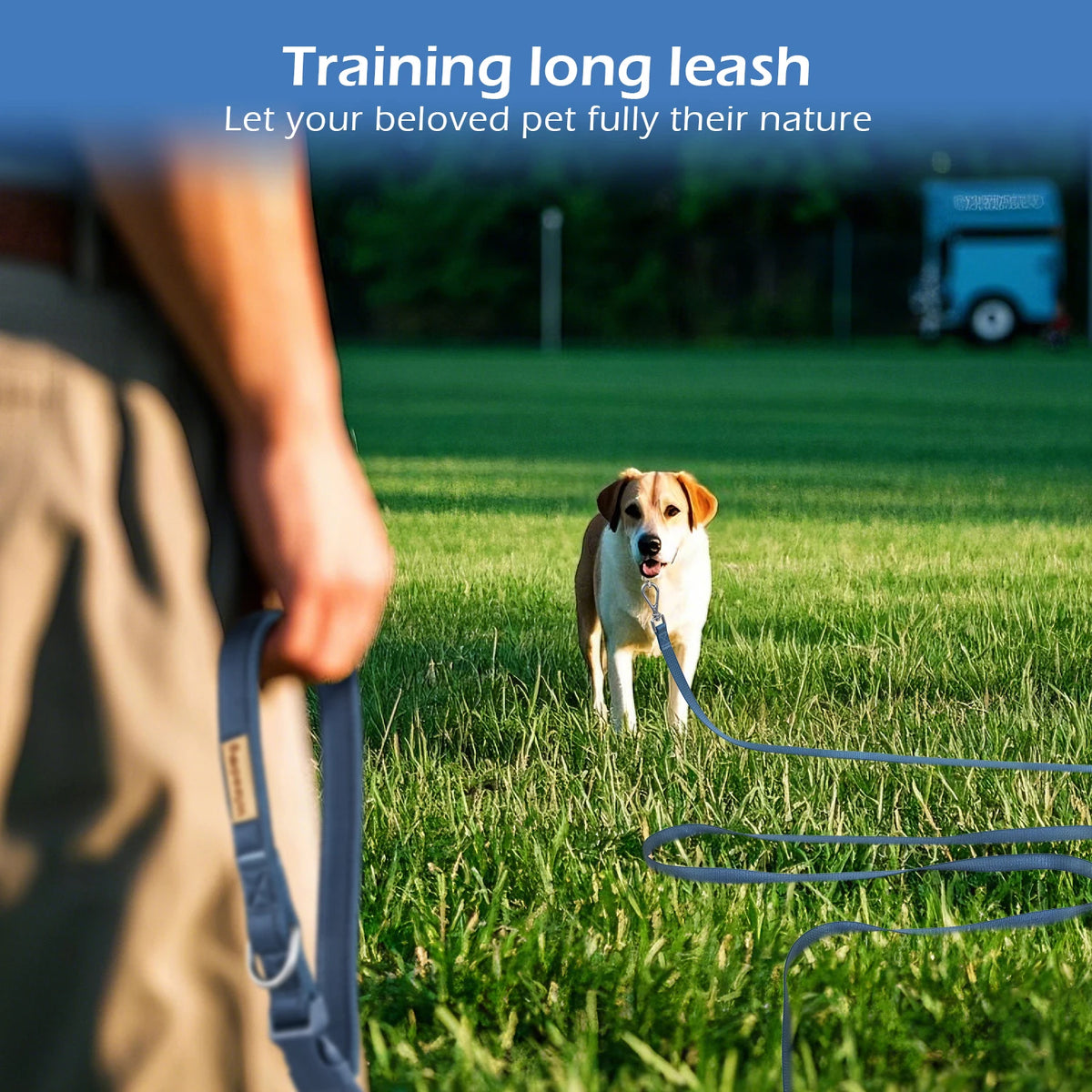 Hands-Free Long Dog Leash USA Adjustable Waist & Crossbody Lead for Walking, Running & Training, 3M/5M Leash for Small, Medium & Large Dogs