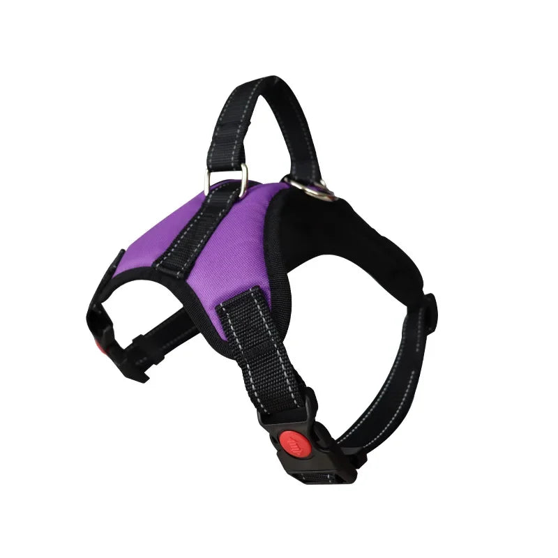 Adjustable Dog Harness USA Pet Walking Vest Collar for Small, Medium & Large Dogs Pet Accessories