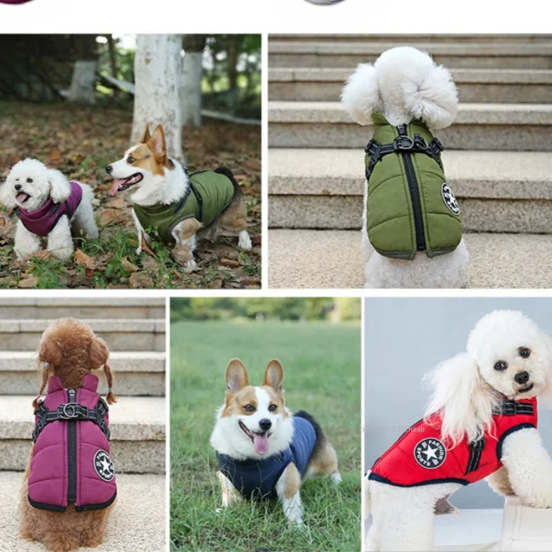 Winter Warm Pet Dog  USA Jacket with Harness Waterproof Dog Coat Vest for Small Medium Chihuahua French Bulldog Outdoor Dog Clothes
