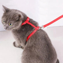 Load image into Gallery viewer, Adjustable Cat Harness Nylon Strap Collar with Leash Escape Proof Kitten Collar for Walking Small Pet Rabbit Lightweight Harness - Ammpoure Wellbeing 🇬🇧
