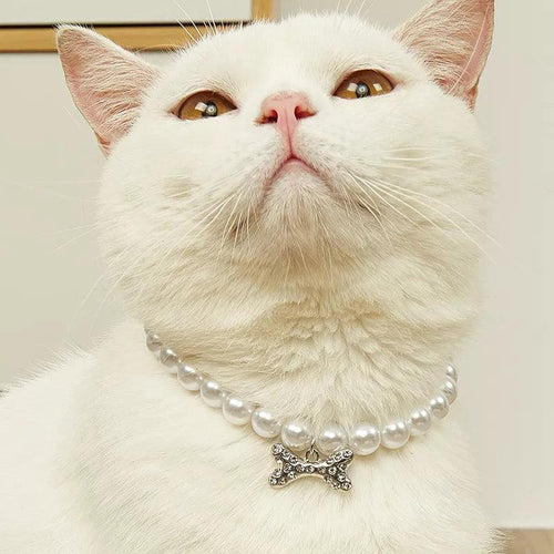 Adjustable Pet Pearl Necklace Accessories for Cats Gotas Animals Fashion Rhinestones Sphynx Cat Collar Kitten Dog collier chat - Ammpoure Wellbeing 🇬🇧